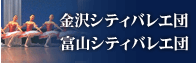 ����V�e�B�o���G�c