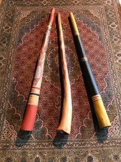 ディジュリドゥ （アボリジニの民族楽器） 富山県のカルチャー教室
